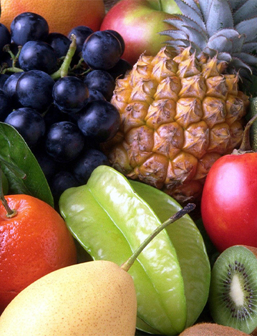 Bio Körbchen Sortiment Exotische Früchte