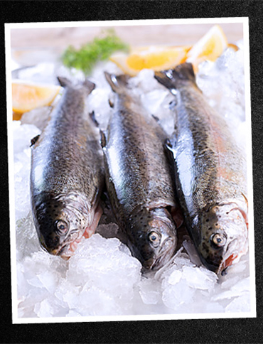 Bio Körbchen Sortiment Fisch auf dem Tisch